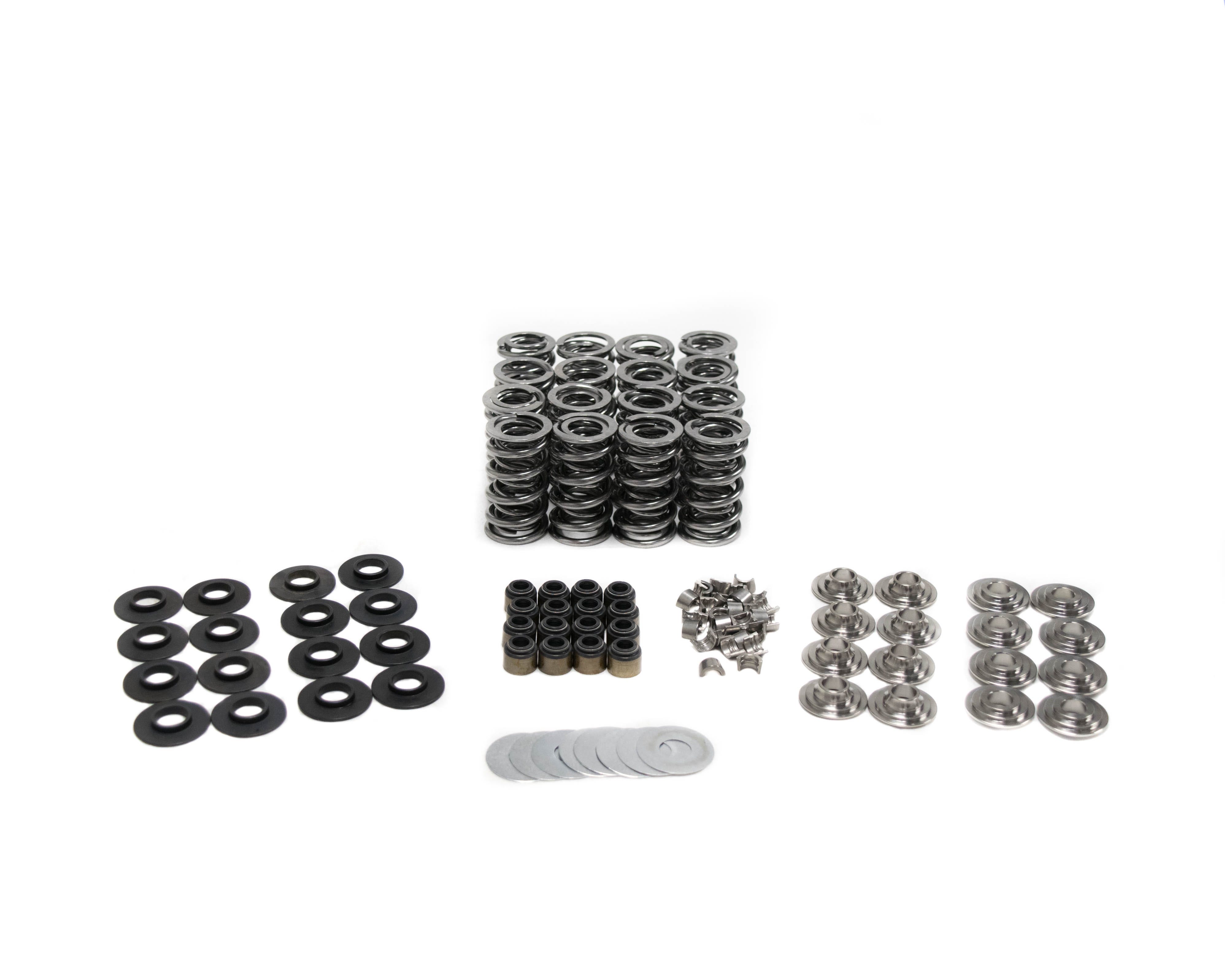 BTR .660" Platinum LT4 Valve Spring Kit Stock Guides - SK008