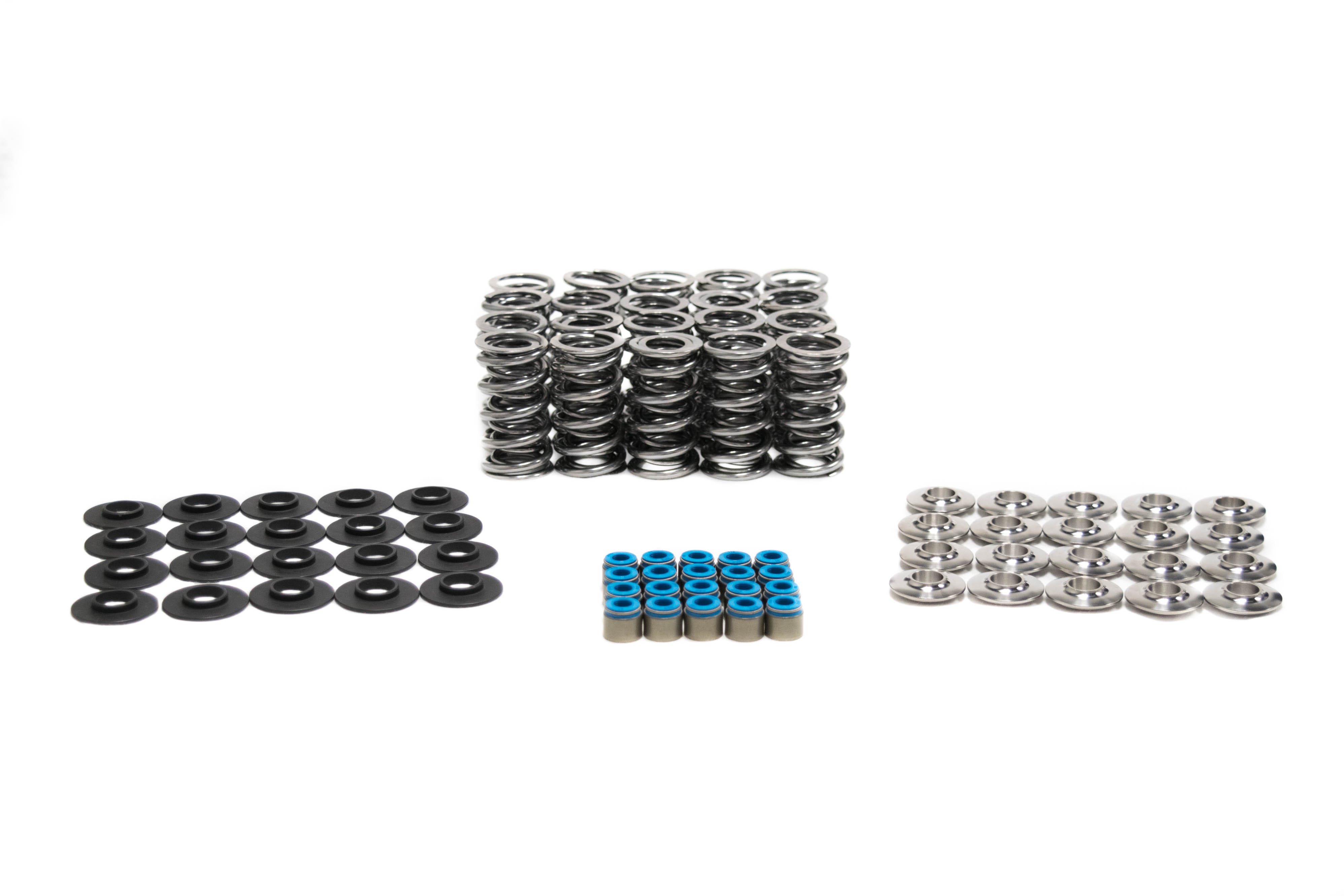 BTR Platinum Gen II Dodge Viper Dual Spring Kit - .660" Lift - SK011/VSLS (LS Seals)