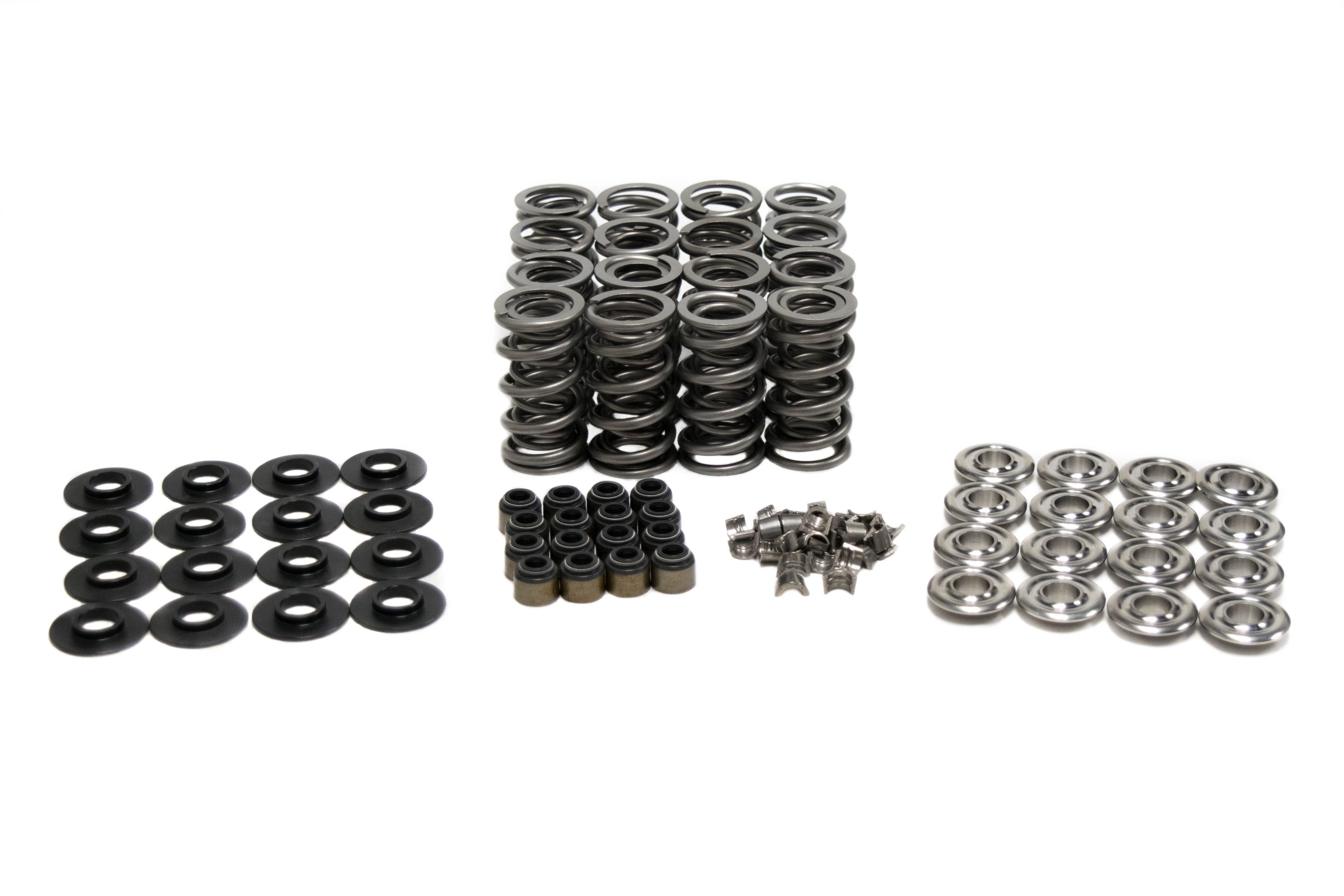 BTR Platinum Plus Dual Spring Kit - .685" Lift - SK702