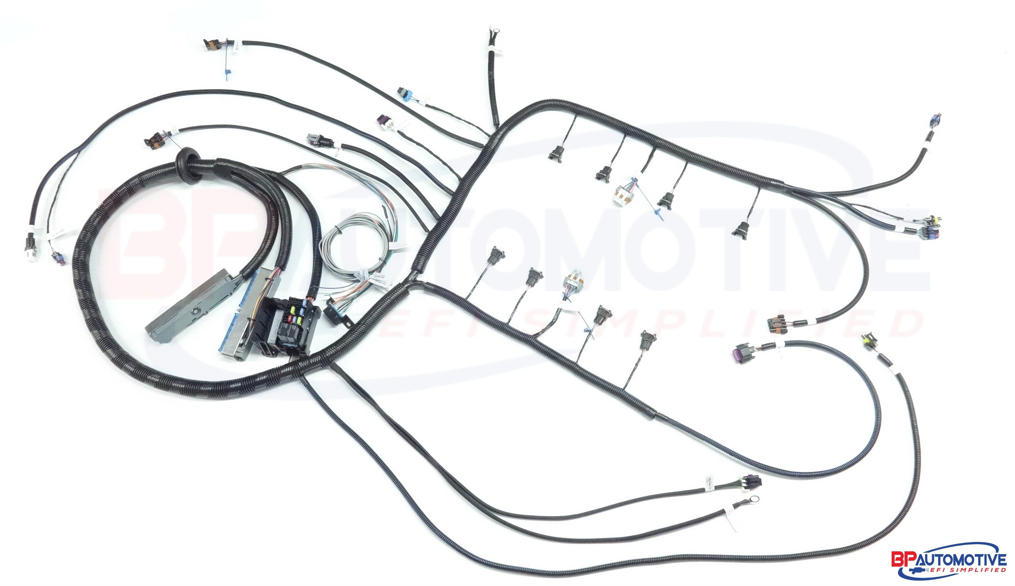 BP Automotive Standalone Harness - 97-06 LS1 - DBC - Non-Electric Transmission - H301