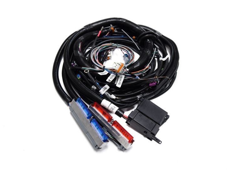 BP Automotive Standalone Harness - 99-06 LS1/VORTEC - DBC - Non Electric Transmission - EV6 Injectors - H307
