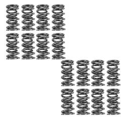 BTR Platinum Valve Spring Kits SK001/S/0545/BB