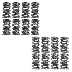 BTR Platinum Valve Spring Kits SK001/S/6560/BB
