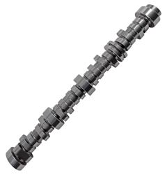 BTR Camshafts BTR-GENV4INSCPDS