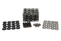 BTR Platinum Valve Spring Kits SK702/6560/BB