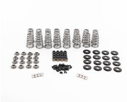 Brian Tooley Racing Valve Springs BTR-SK013/0560/BB/TS