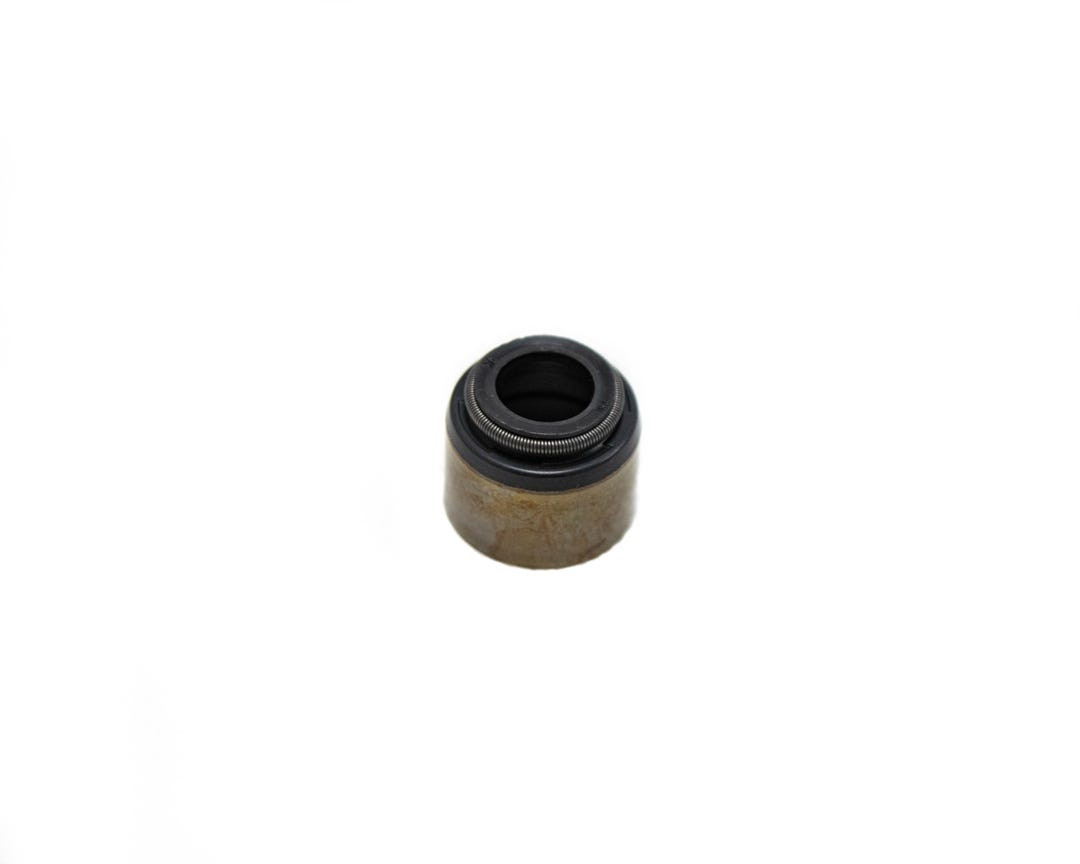 Brian Tooley Racing Automotive Valve Guides BTR-311-2244-16