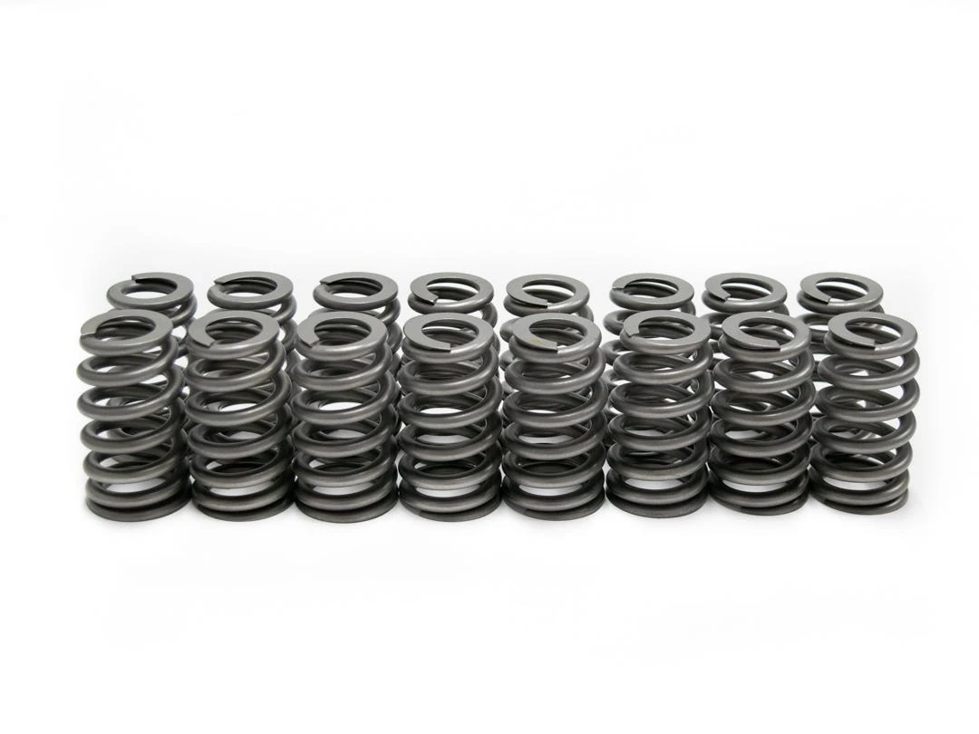 Brian Tooley Racing Valve Springs BTR-SK018/6545