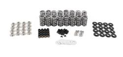 Brian Tooley Racing Valve Springs BTR-SK007/0560/BB/TS
