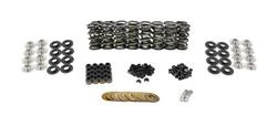 Brian Tooley Racing Valve Springs BTR-SKCVH6854