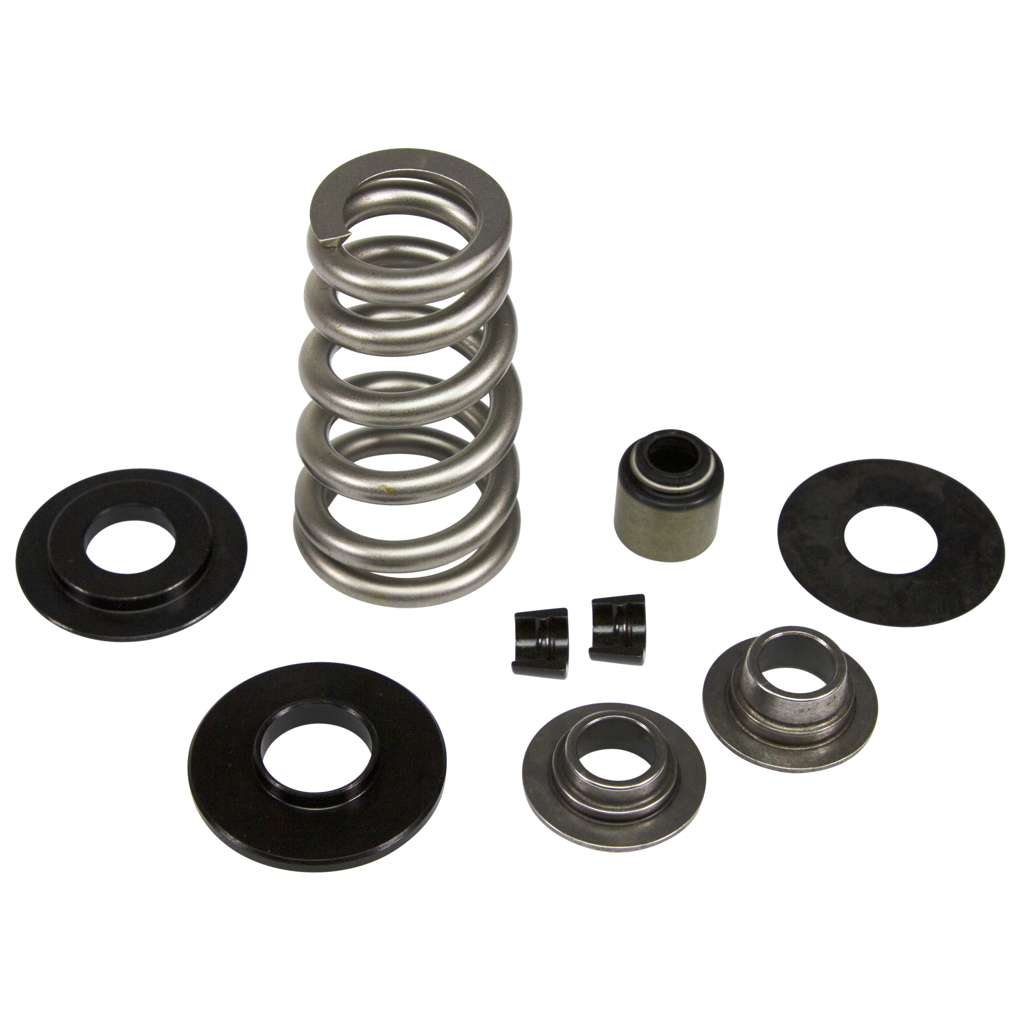 VALVE SPRING KIT, CONICAL, .62 5 + LIFT, LT4 TOOL STEEL RETAI NER (7228TSD-KIT)
