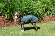 Sherpa Lined Dog Coats