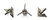 100 GRAIN JUMBO 3 (Quantity of 3 Broadheads)