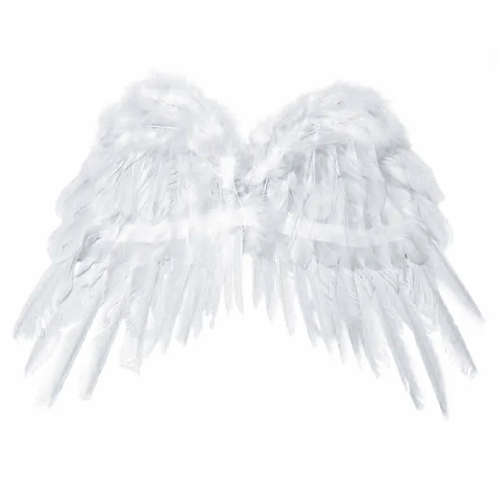 white feather wings png