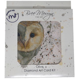Olive Owl Sparkle Art Card Kit (1)