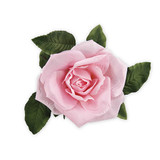 26cm Light Pink Rose Head (1)