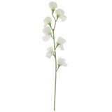 63cm Ivory Silk Sweet Pea Stem (1)