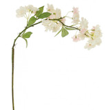 78cm Barely Blush Bowing Cherry Blossom (1)