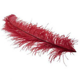 Burgundy Ostrich Feathers (5)