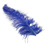 Royal Blue Ostrich Feathers (5)