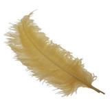Gold Ostrich Feathers (5)