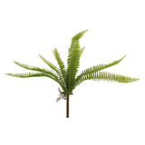 48cm Green Adiantum Fern Bush (1)