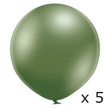 2ft Glossy Lime Green Belbal Latex Balloons (5)