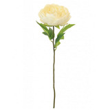 56cm Cream Audrey Peony Stem (1)