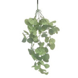 70cm Green/Grey Eucalyptus Trailing Plant (1)