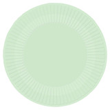 Duck Egg Blue Paper Plates (8)