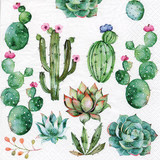Cactus & Succulents Paper Napkins (20)