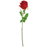 red rose stems for valetine's day decor