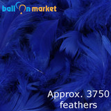 Premium Royal Blue Feathers (Approx. 3750)