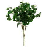 Dark Green Eucalyptus wholesaler