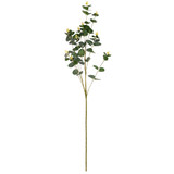 Dark Green Eucalyptus wholesaler