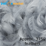 Premium Silver Grey Feathers (Approx. 3750)