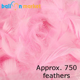 Premium Baby Pink Feathers (Approx. 750)