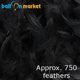 Premium Black Feathers (Approx. 750)