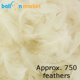 Premium Ivory Feathers (Approx. 750)