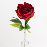 A Deep Red Audrey Peony Stem, measuring approx. 56cm!