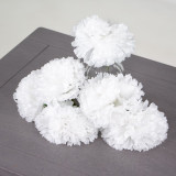 A white coloured carnation head