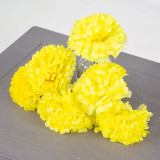 A yellow coloured carnation head