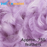 Premium Lilac Feathers (Approx. 750)