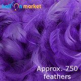 Premium Purple Feathers (Approx. 750)