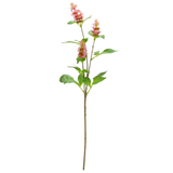 A 76cm pink Pogostemon spray.