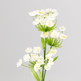 A 74cm Cream Fairybell Allium spray.