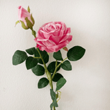 A Luxe Pink Rose & Bud, measuring approx. 55cm