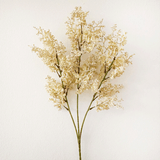 A Cream Astilbe, measuring approx. 73cm