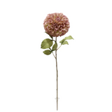A 74cm Purple & Green Dahlia Stem.