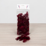 Burgundy Feathers - 5g (1)